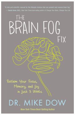 Brain Fog Fix - book - Shantiii x3